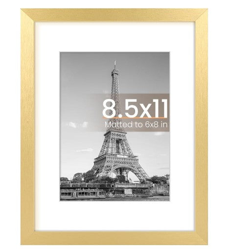 License Frames