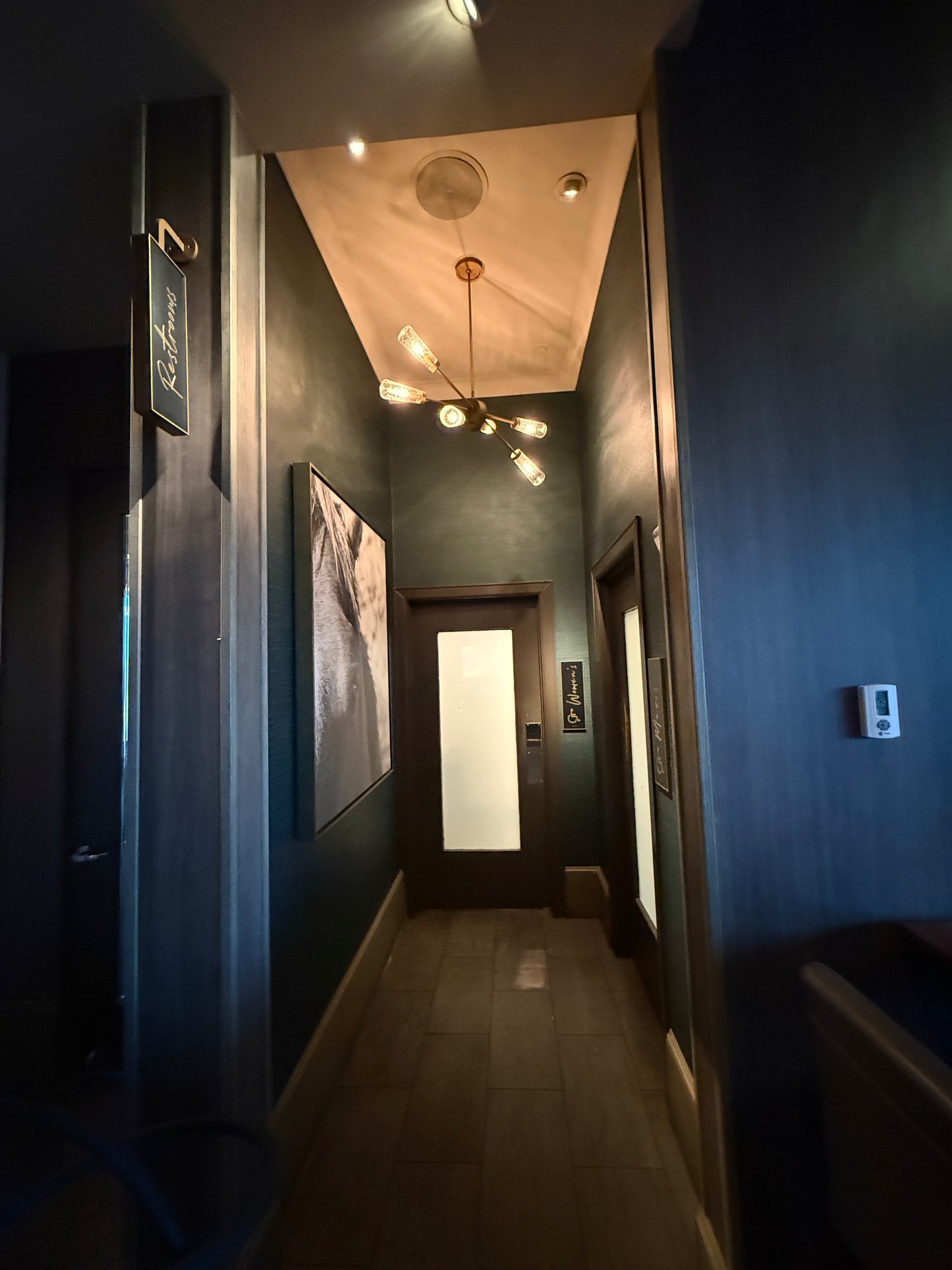 RESTROOM Hallway Chandelier