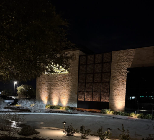 EXTERIOR Tree Light and Building Wall Wash