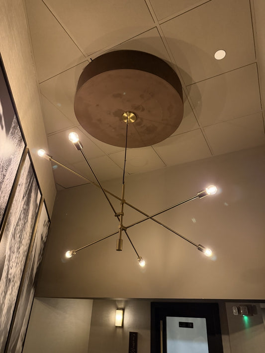 CHANDELIER Xenia Linear Chandelier Matte Bulb (#15 Austin)