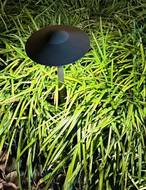 EXTERIOR Pathway Mushroom Lights